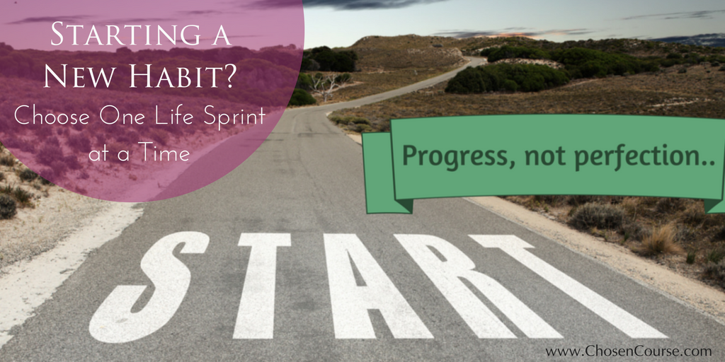 Starting Any New Habit? -Choose One Life Sprint at a Time