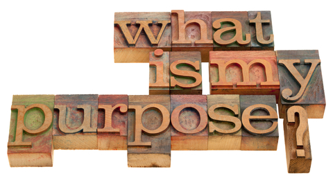 Two Roads to Purpose – Purpose & Goals