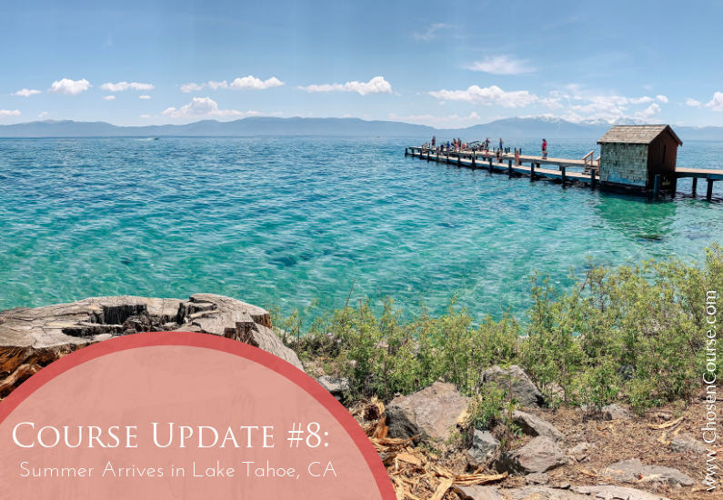 Digital Nomad Family – Course Update #8 – Spring & Summer by Lake Tahoe