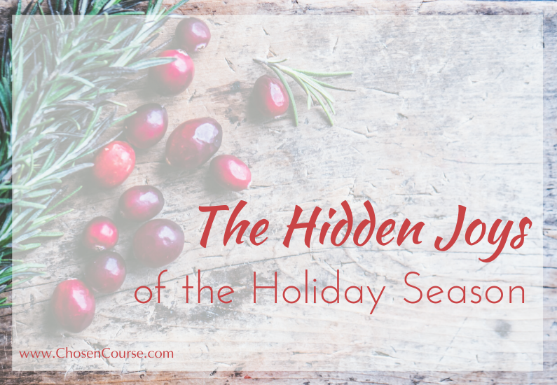 The Hidden Joys of the Holiday Season