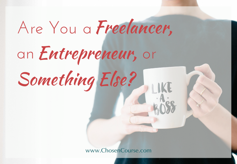 Are you a freelancer, an entrepreneur, or something else?