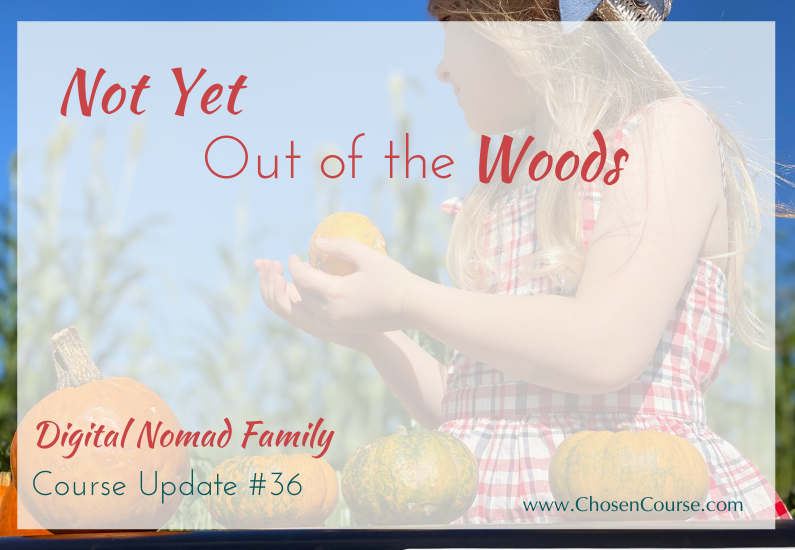 Digital Nomad Family – Course Update #36 – Not Yet Out of the Woods